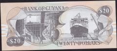 Guyana 20 Dolar 1996 - 2016 Çilaltı Çil Pick 30g 000