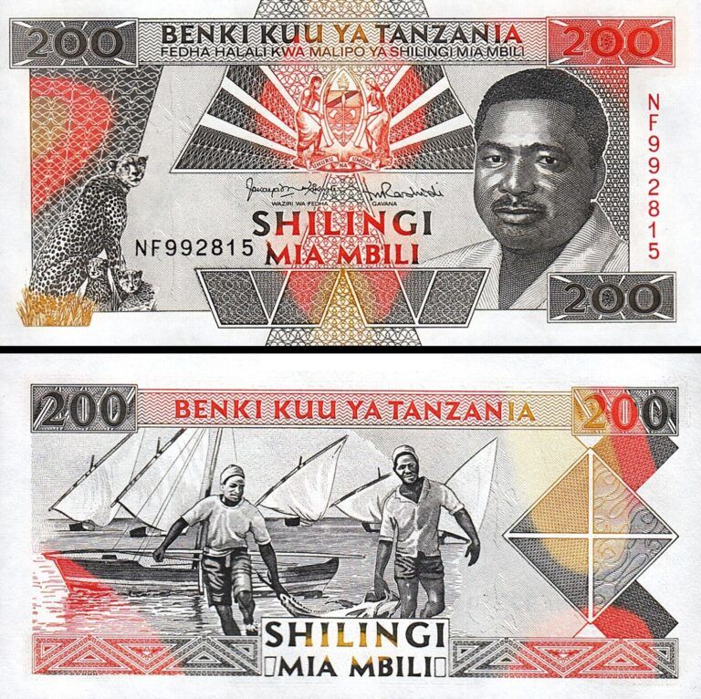 Tanzanya 200 Şiling 1993 Çilaltı Çil Pick 25b