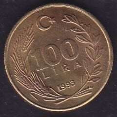 1993 Yılı 100 Lira Çilaltı