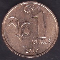 2017 Yılı 1 Kuruş Çilaltı Çil