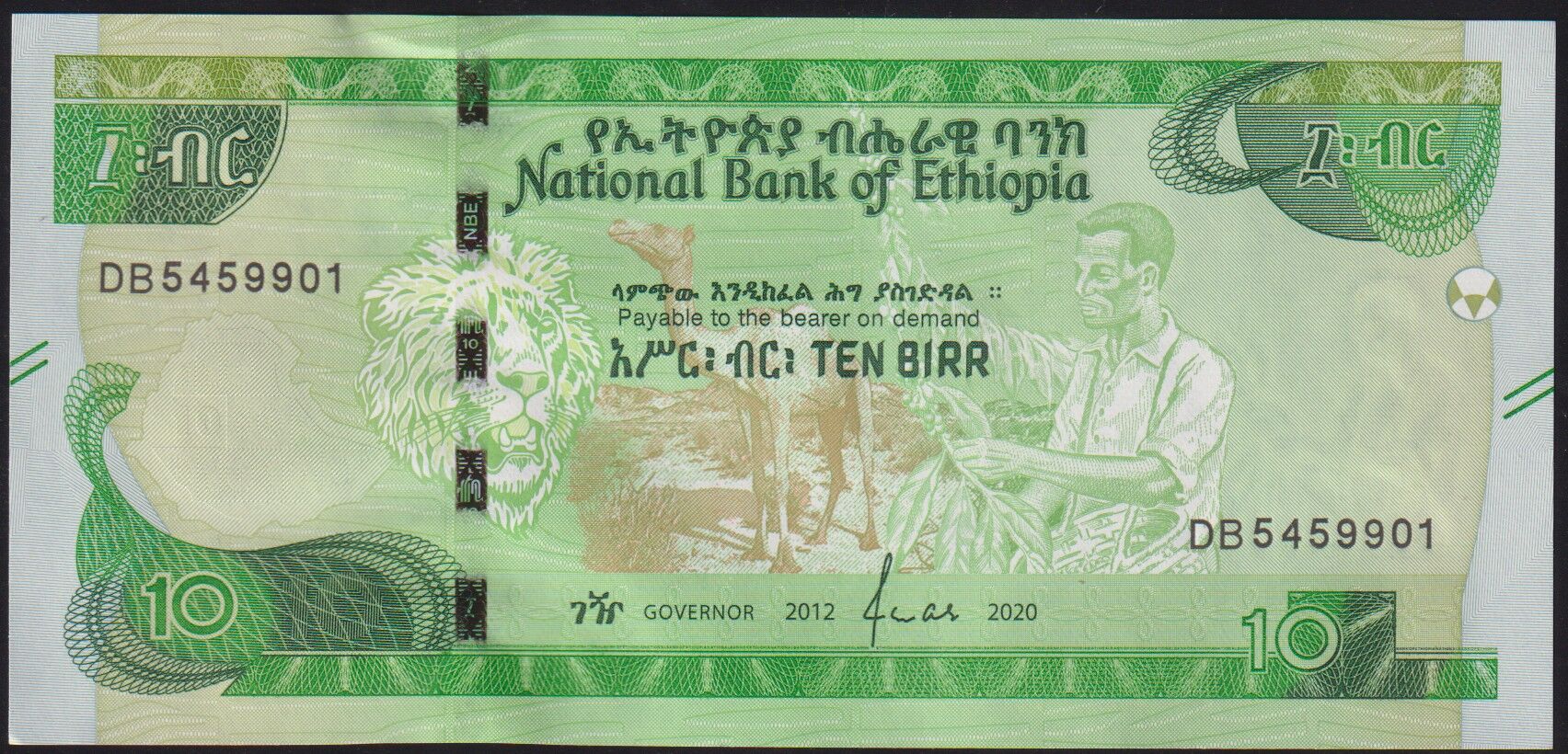 Etiyopya 10 Bırr 2020 Çil Pick 55