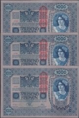 Avusturya Macaristan 1000 Korona 3 Adet Seri Takipli 1902 (1919) Çilaltı Çil