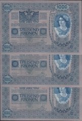 Avusturya Macaristan 1000 Korona 3 Adet Seri Takipli 1902 (1919) Çilaltı Çil