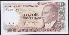 7.Emisyon 4.Tertip 5000 Lira I65 437293 Çil