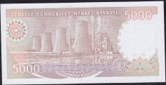 7.Emisyon 4.Tertip 5000 Lira I65 437293 Çil