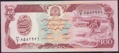 Afganistan 100 Afgani 1358 ( 1979 ) Çilaltı Çil Pick 58a
