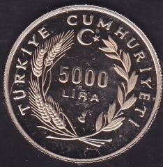1992 Yılı 5000 Lira Yahudi Göçü 500. Yılı Hatıra Parası Çilaltı Çil