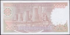 7.Emisyon 4.Tertip 5000 Lira I01 574293 Çil