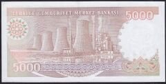 7.Emisyon 4.Tertip 5000 Lira H80 621007 Çilaltı ( Bandrol baskı izi var tedavül katı yok )