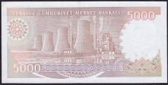 7.Emisyon 4.Tertip 5000 Lira H80 621007 Çilaltı ( Bandrol baskı izi var tedavül katı yok )