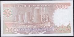 7.Emisyon 4.Tertip 5000 Lira H80 621006 Çilaltı Çil