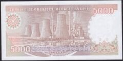 7.Emisyon 4.Tertip 5000 Lira H56 334393 Çil