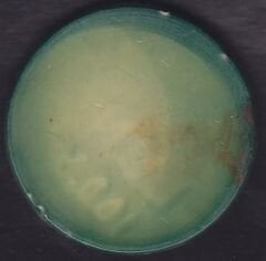 100.yıl Lunapark Jetonu Yeşil Luna (Yazı Erkek)