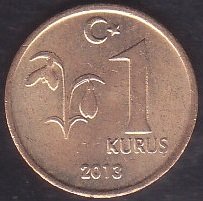 2013 YILI 1 KURUŞ