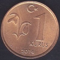 2014 YILI 1 KURUŞ