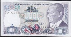 7.Emisyon 1.Tertip 1000 Lira E48 310524 Çil
