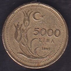 1995 Yılı 5000 Lira ( Yazı Küçük )