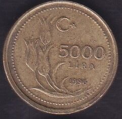 1996 Yılı 5000 Lira