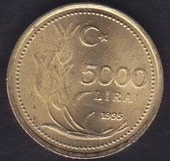 1995 Yılı 5000 Lira ( Yazı Büyük )