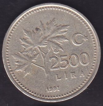 1991 Yılı 2500 Lira