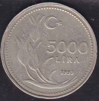 1993 Yılı 5000 Lira
