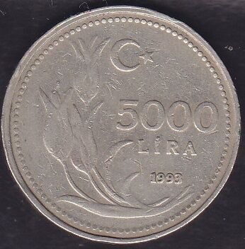 1993 Yılı 5000 Lira