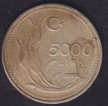 1993 Yılı 5000 Lira
