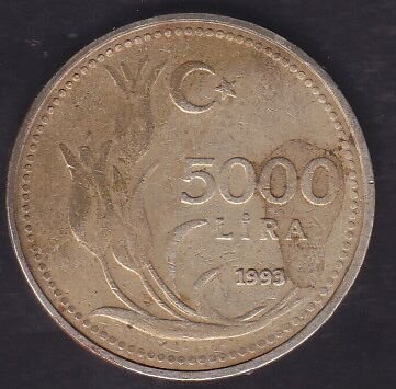 1993 Yılı 5000 Lira