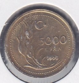 1999 Yılı 5000 Lira Çilaltı Çil