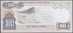 6.Emisyon 1.Tertip 100 Lira E25 040958 Çilaltı Çil