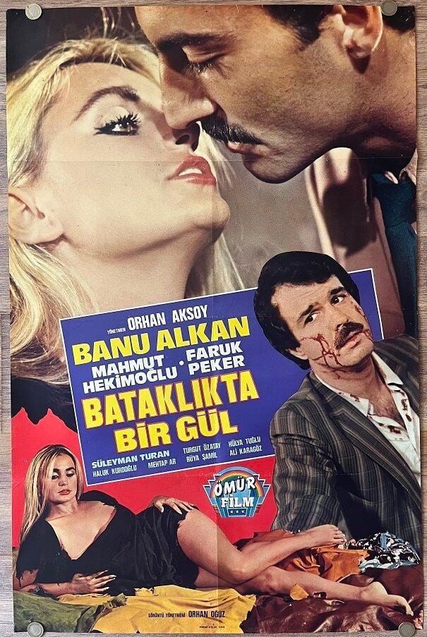 Banu Alkan - Mahmut Hekimoğlu - Bataklıkta Bir Gül - Film Afişi