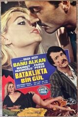 Banu Alkan - Mahmut Hekimoğlu - Bataklıkta Bir Gül - Film Afişi