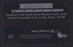 JERSEY 2 POUND