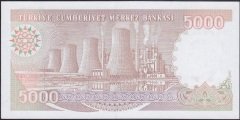 7.Emisyon 4.Tertip 5000 Lira I43 884999 Çilaltı Çil