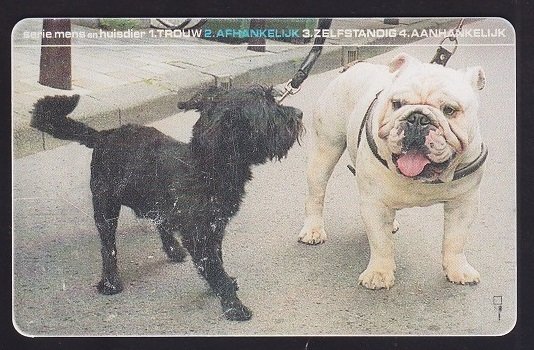 YABANCI TELEFON KARTI KÖPEK RESİMLİ