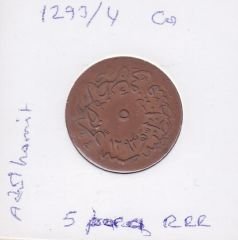 1293/4 Abdulhamid 5 Para Çil