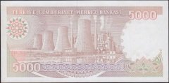 7.Emisyon 4.Tertip 5000 Lira I39 055371 Çilaltı Çil