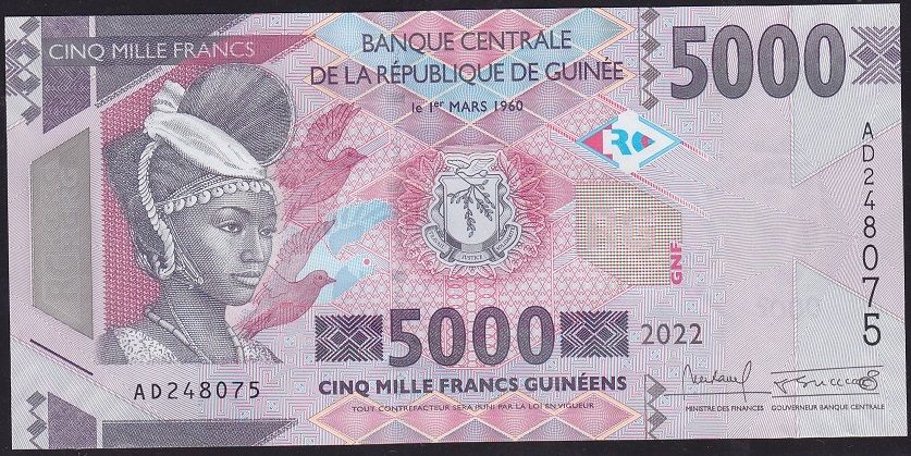 Gine 5000 Frank 2022 Çil Pick 49