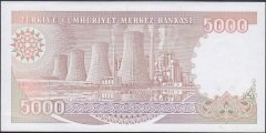 7.Emisyon 4.Tertip 5000 Lira I16 237759 Çil