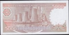 7.Emisyon 4.Tertip 5000 Lira G23 518704 Çilaltı Çil