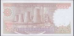 7.Emisyon 4.Tertip 5000 Lira I38 468234 Çilaltı Çil