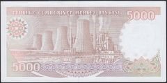 7.Emisyon 4.Tertip 5000 Lira I34 047599 Çil