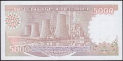 7.Emisyon 4.Tertip 5000 Lira H89 621202 Çilaltı Çil