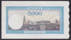 ROMANYA 5000 LEİ 1943 ÇİLALTI P56