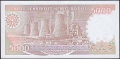 7.Emisyon 4.Tertip 5000 Lira H60 456511 Çilaltı Çil