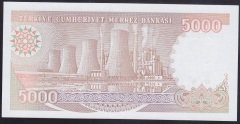 7.EMİSYON 4.TERTİP 5000 LİRA I70 057700 ÇİL