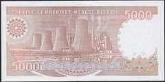 7.Emisyon 4.Tertip 5000 Lira G28 075914 Çilaltı Çil ( Kulakta kırık var )