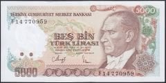 7.Emisyon 3.Tertip 5000 Lira F14 770959 Çilaltı Çil
