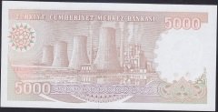 7.EMİSYON 4.TERTİP 5000 LİRA I29 463590 ÇİL