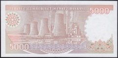 7.EMİSYON 4.TERTİP 5000 LİRA I10 046111 ÇÇT +